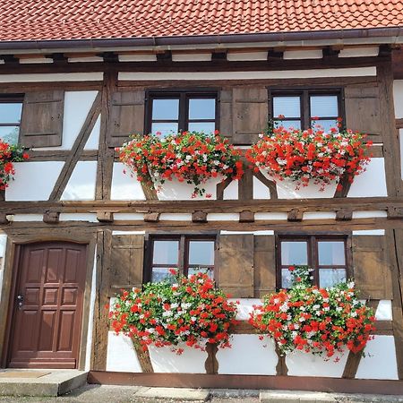Ferienwohnung Hiemer Bad Grönenbach Kültér fotó